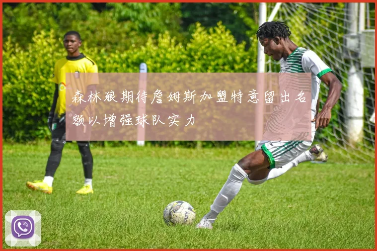森林狼期待詹姆斯加盟特意留出名额以增强球队实力